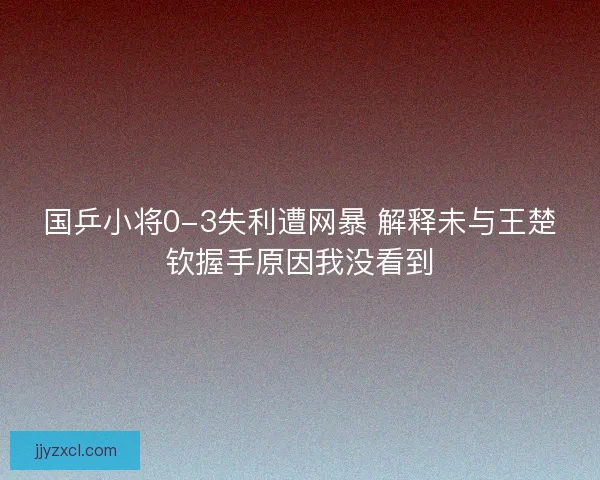 国乒小将0-3失利遭网暴 解释未与王楚钦握手原因我没看到