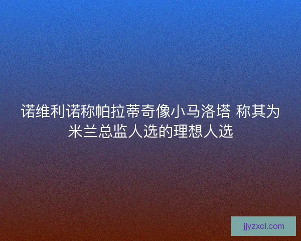 诺维利诺称帕拉蒂奇像小马洛塔 称其为米兰总监人选的理想人选